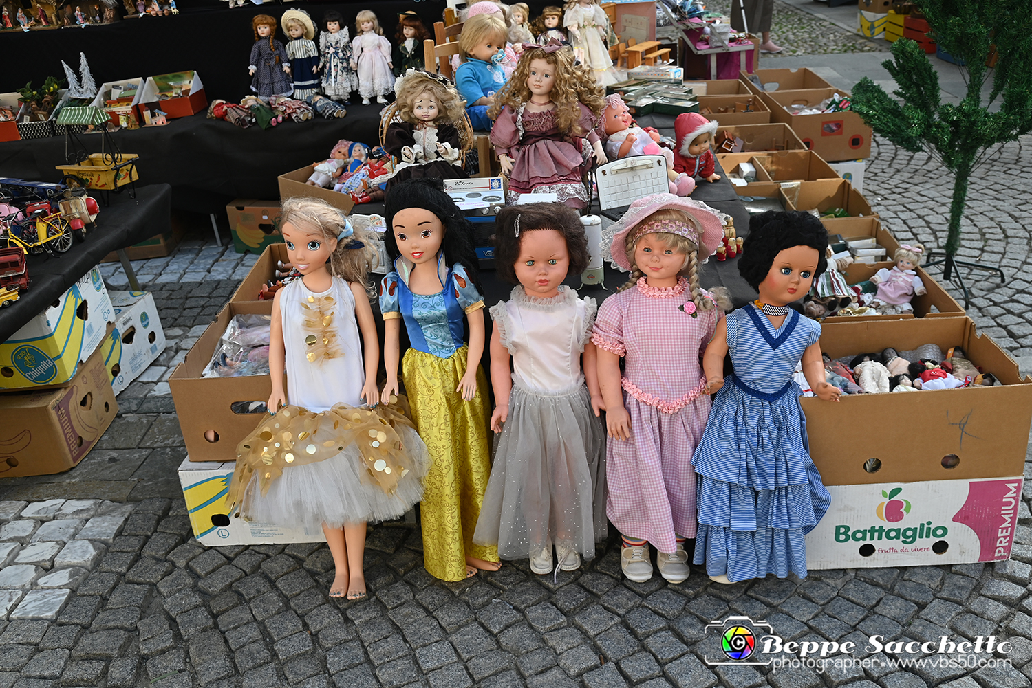 VBS_8185 - Mercatino dell'Antiquariato e dell'Hobbismo.jpg